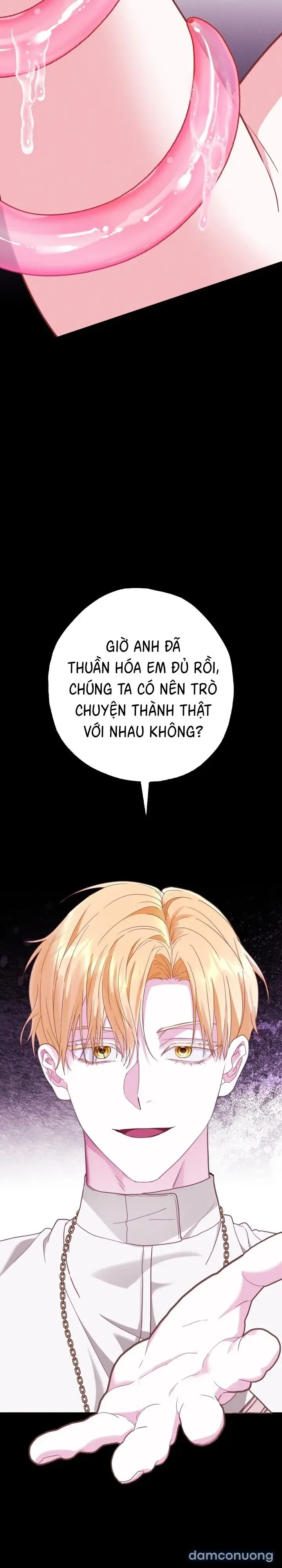 Dũng Sĩ Rơi Vào Cạm Bẫy 