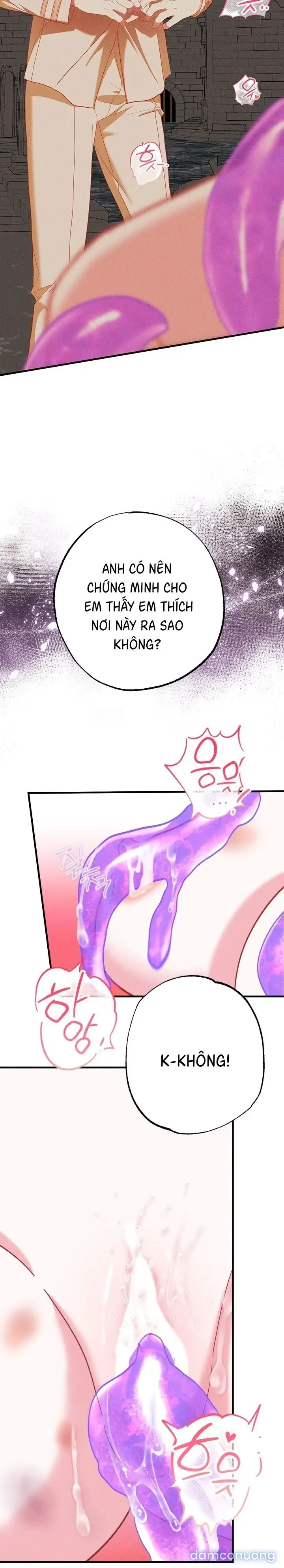 Dũng Sĩ Rơi Vào Cạm Bẫy 