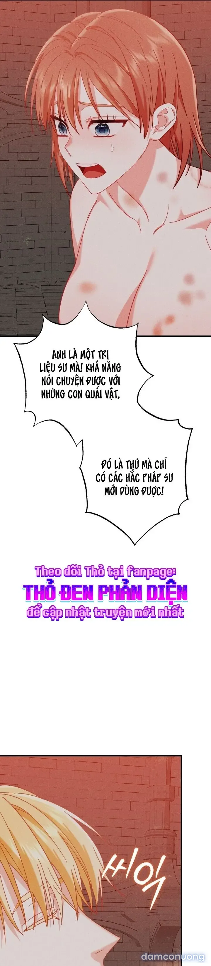 Dũng Sĩ Rơi Vào Cạm Bẫy 