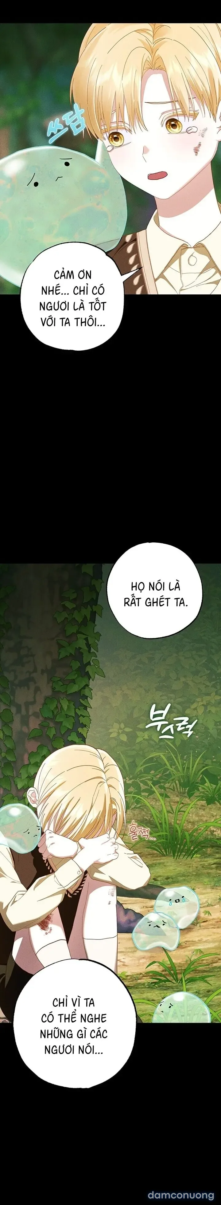 Dũng Sĩ Rơi Vào Cạm Bẫy 