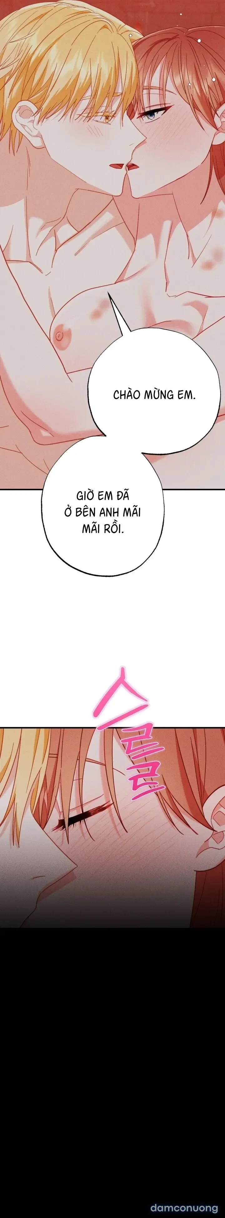 Dũng Sĩ Rơi Vào Cạm Bẫy 