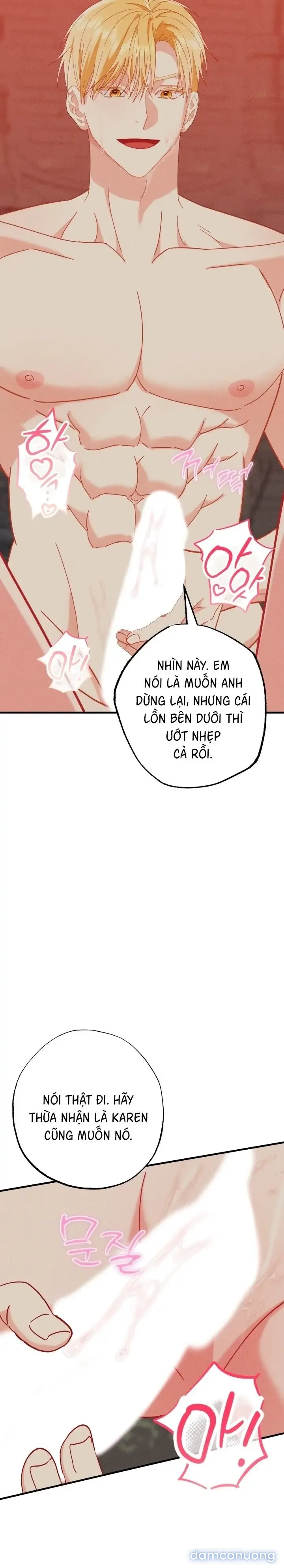 Dũng Sĩ Rơi Vào Cạm Bẫy 
