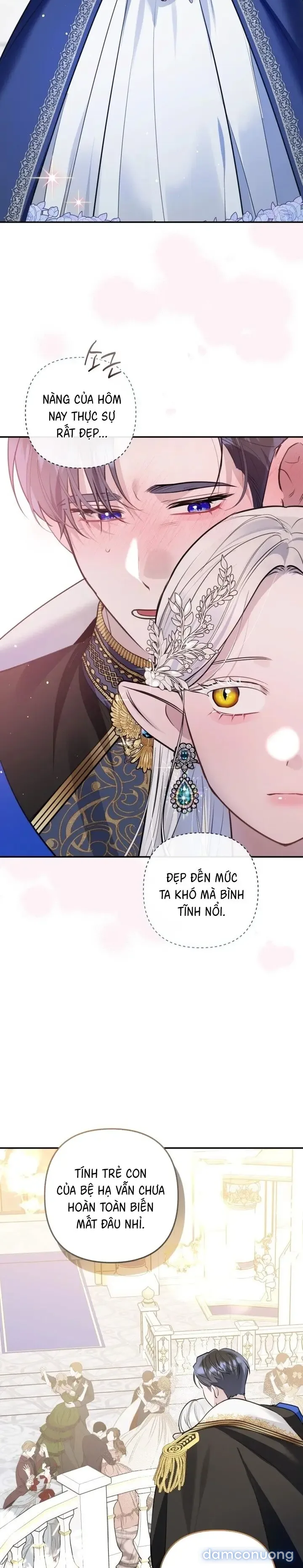 Vì Nàng Bellumia 