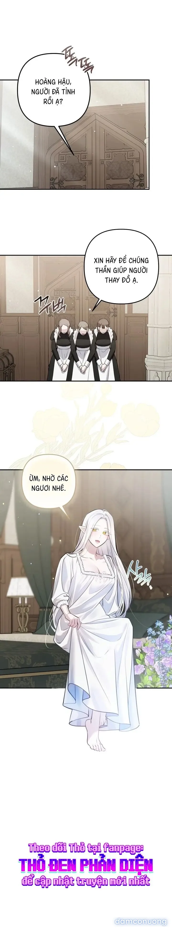 Vì Nàng Bellumia 