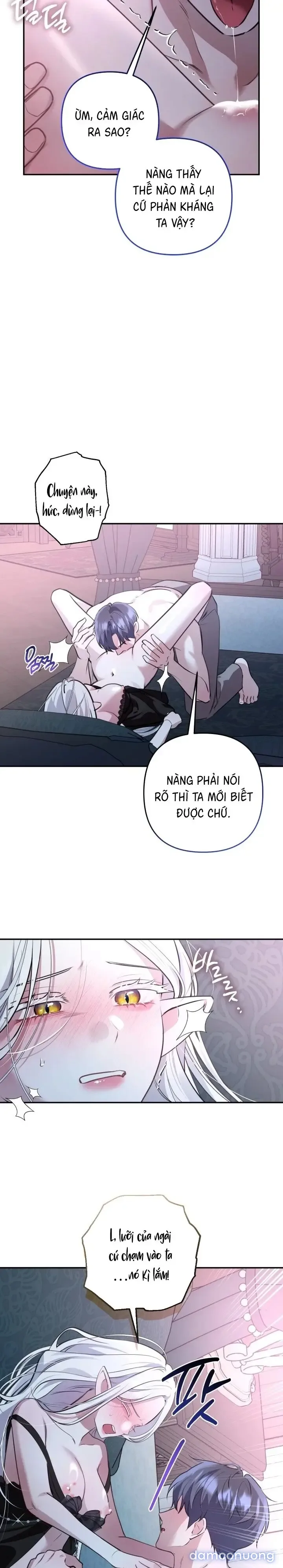 Vì Nàng Bellumia 