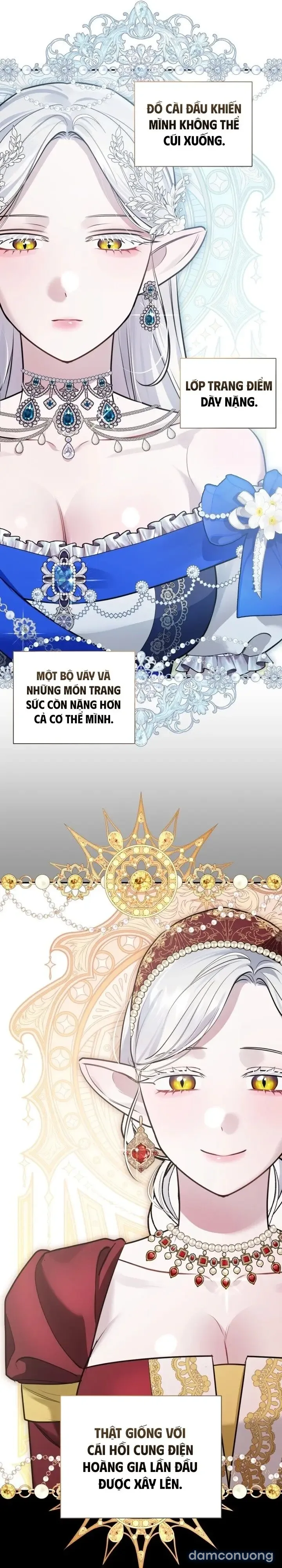Vì Nàng Bellumia 