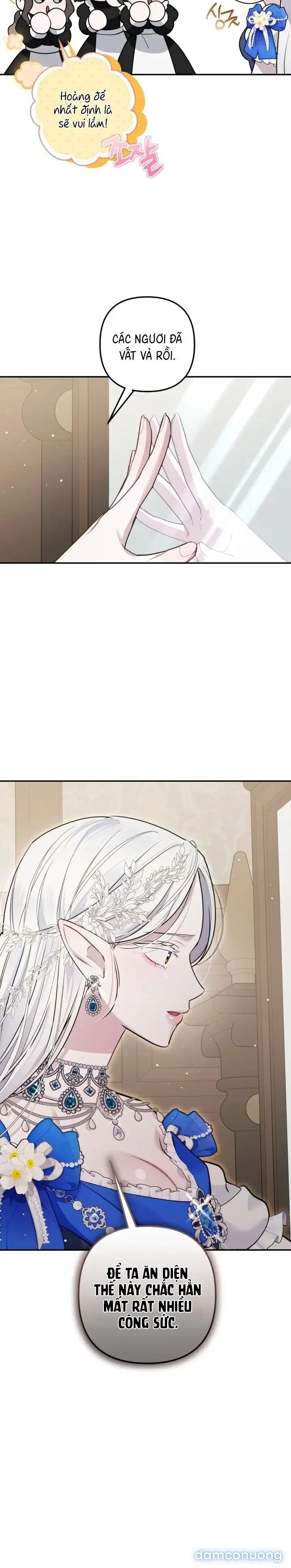 Vì Nàng Bellumia 