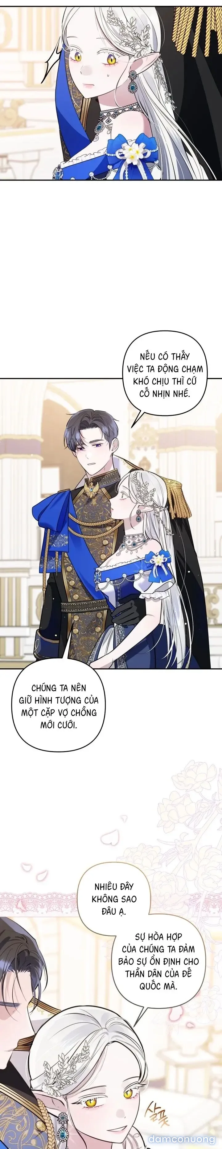 Vì Nàng Bellumia 