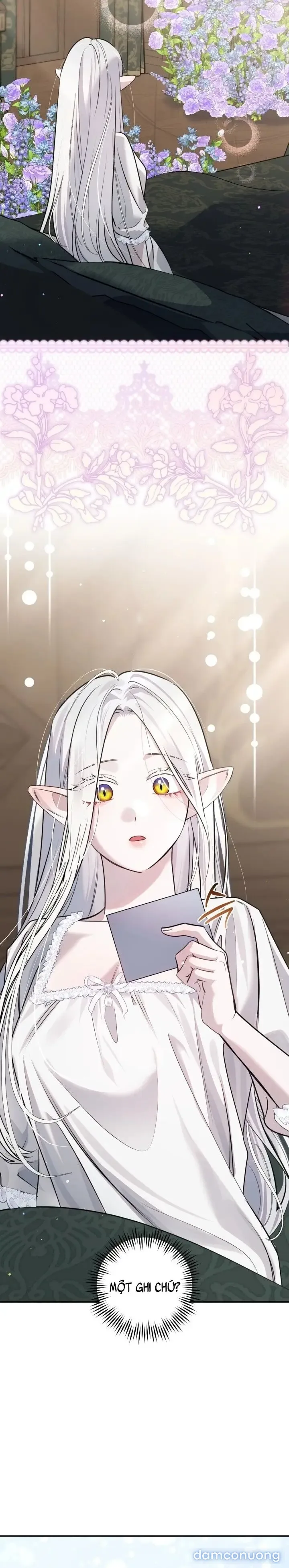 Vì Nàng Bellumia 