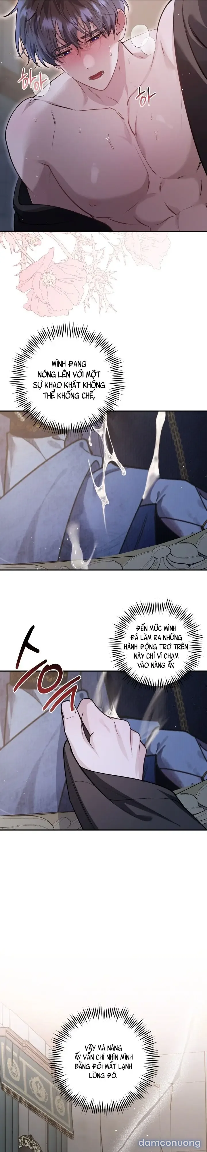 Vì Nàng Bellumia 