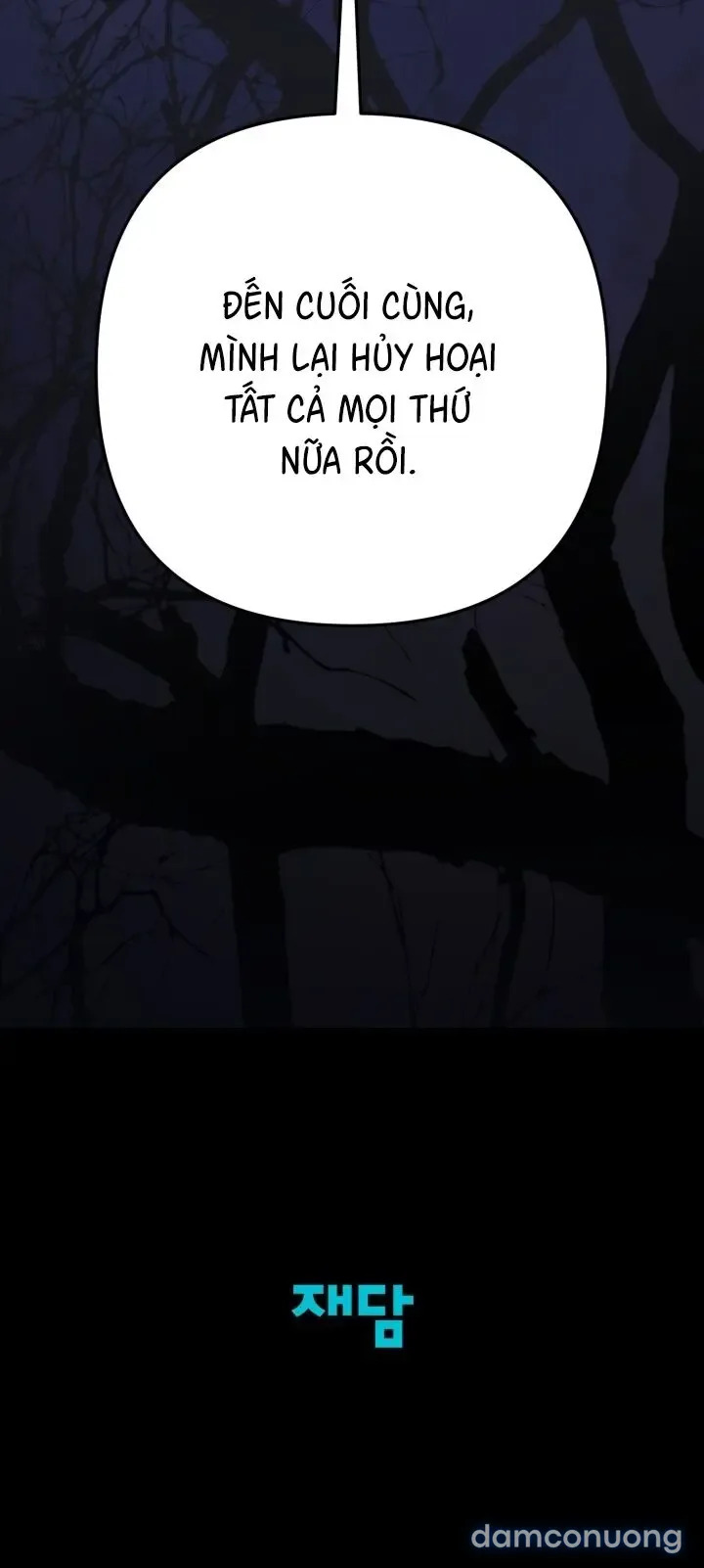 Vì Nàng Bellumia 