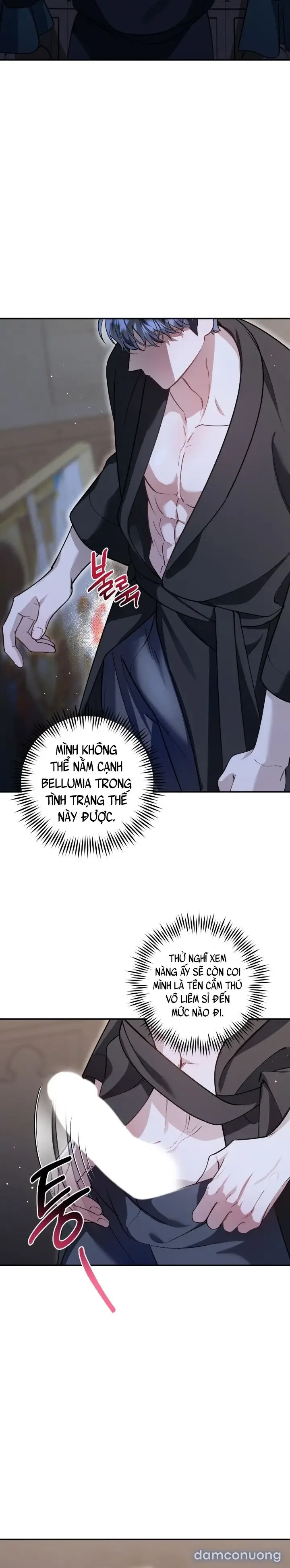 Vì Nàng Bellumia 