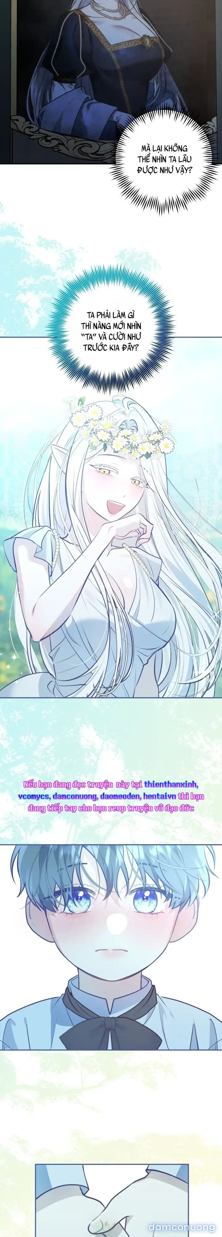 Vì Nàng Bellumia 