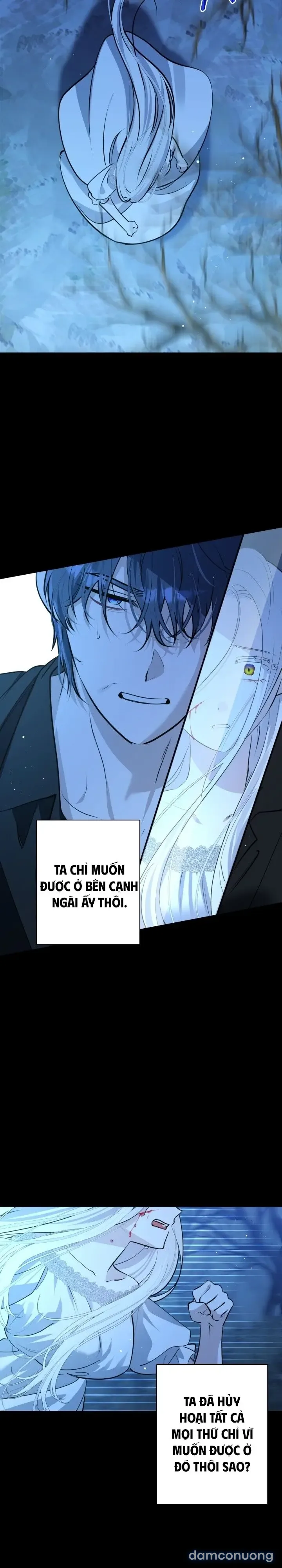 Vì Nàng Bellumia 