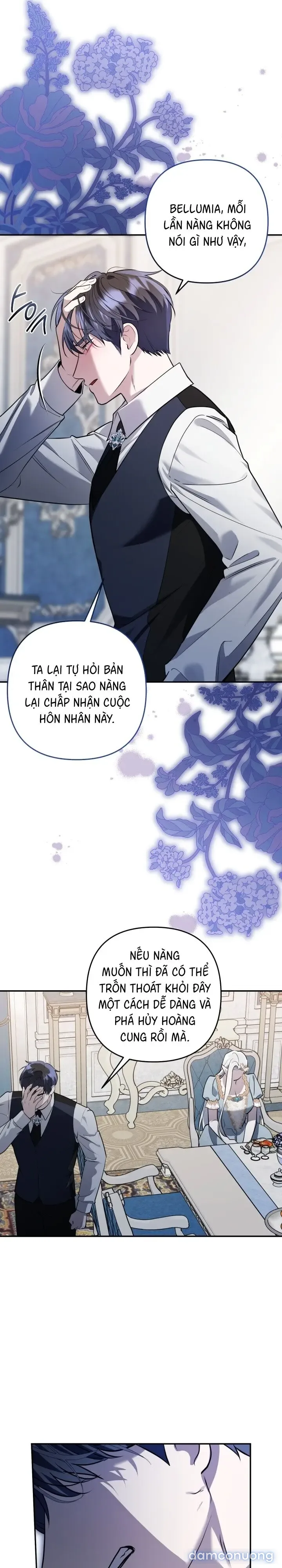 Vì Nàng Bellumia 