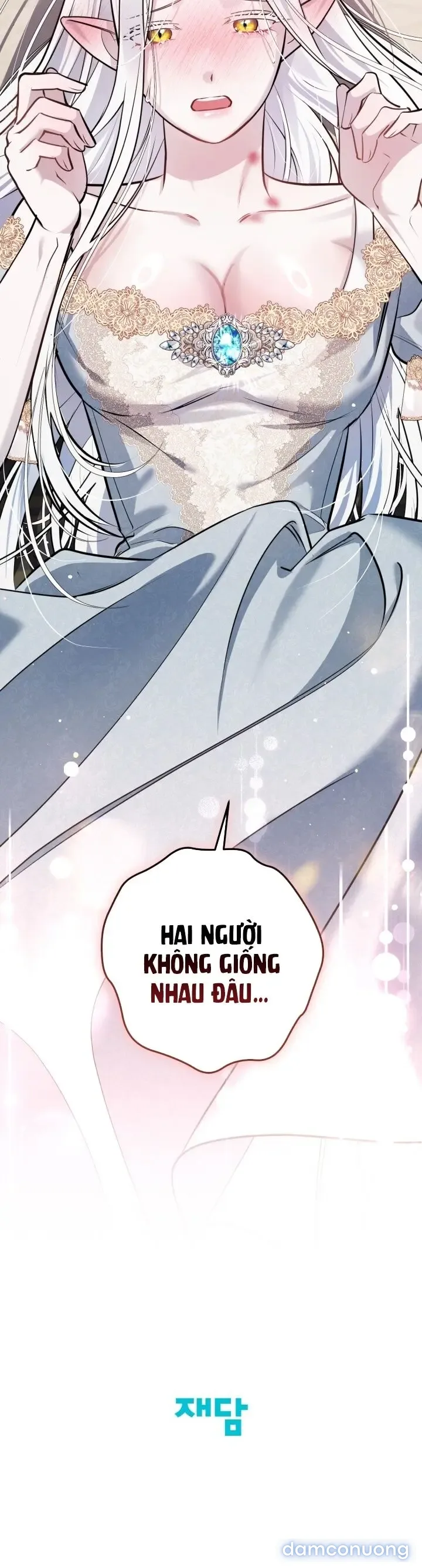 Vì Nàng Bellumia 
