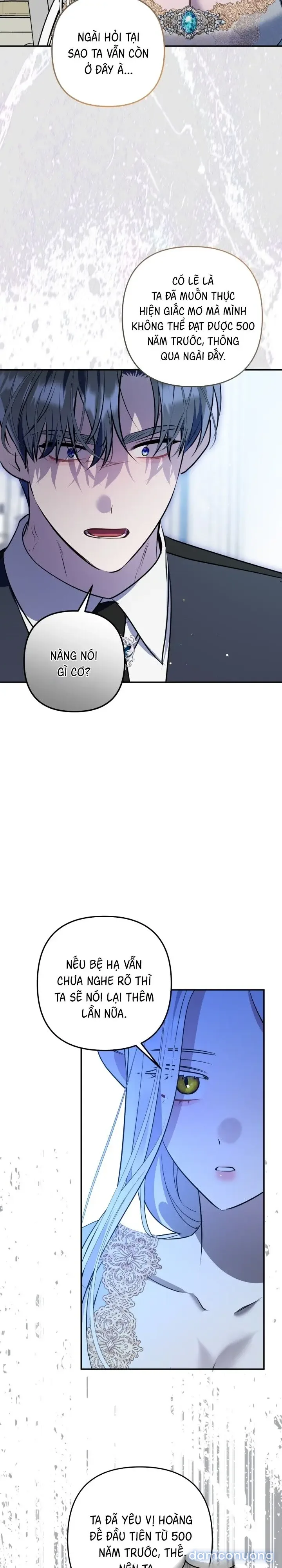 Vì Nàng Bellumia 