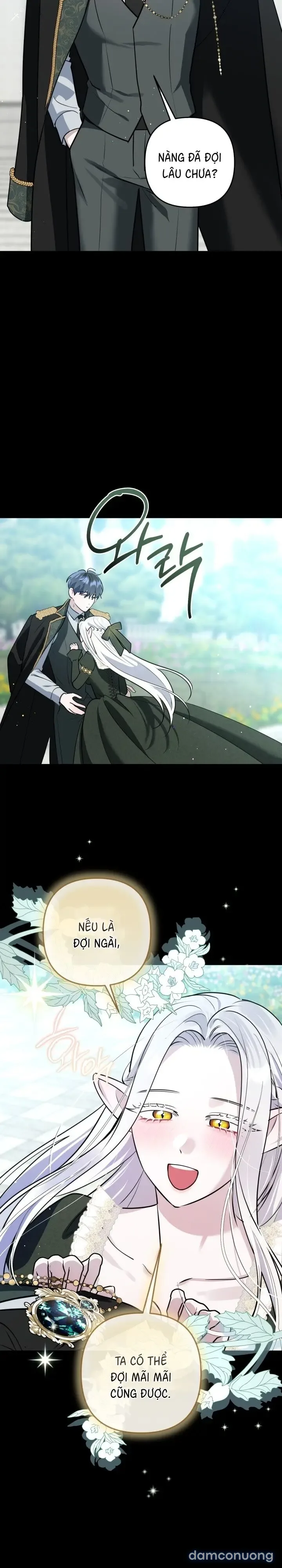 Vì Nàng Bellumia 