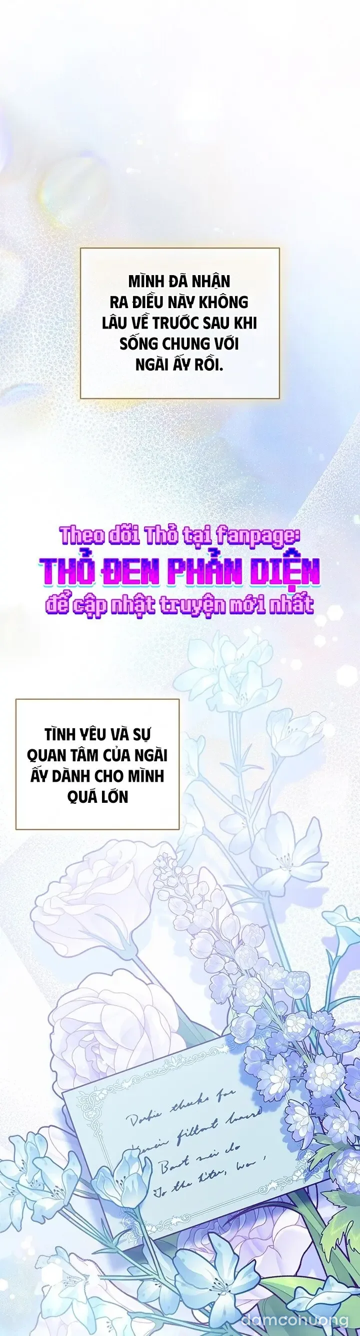 Vì Nàng Bellumia 