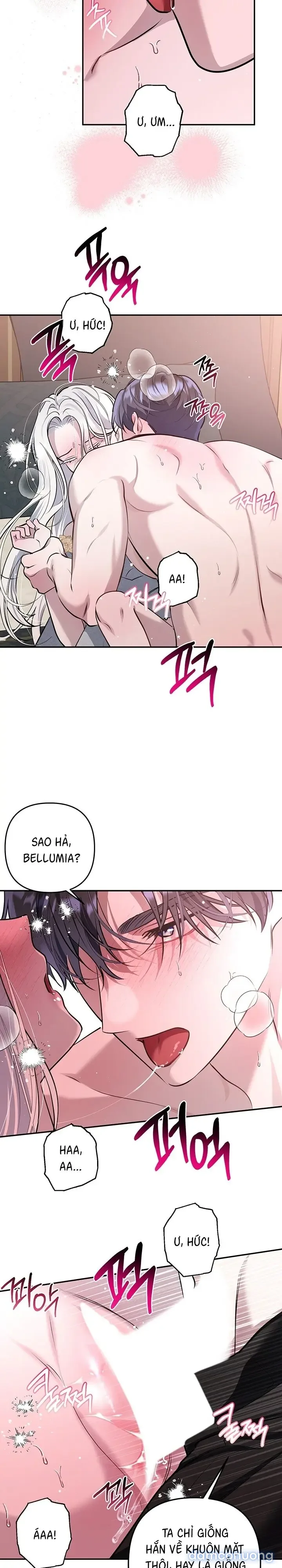 Vì Nàng Bellumia 