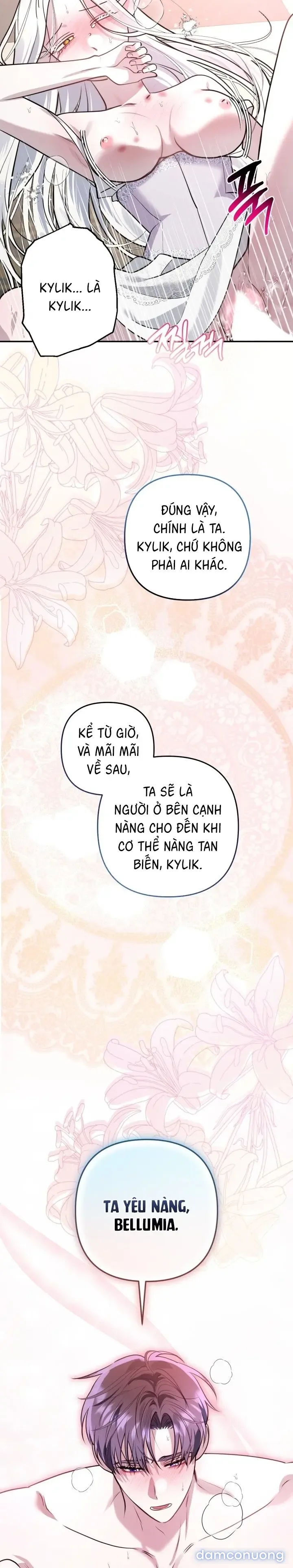 Vì Nàng Bellumia 