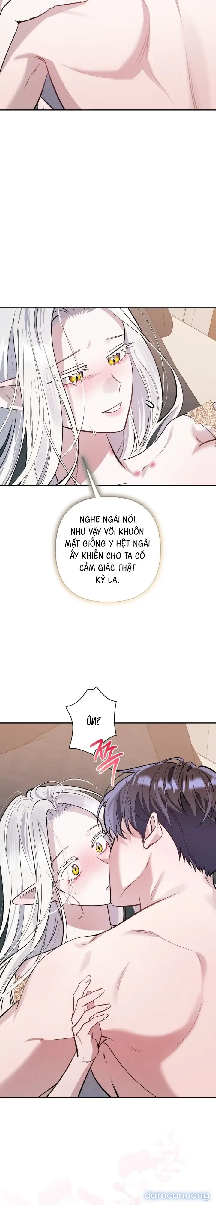 Vì Nàng Bellumia 