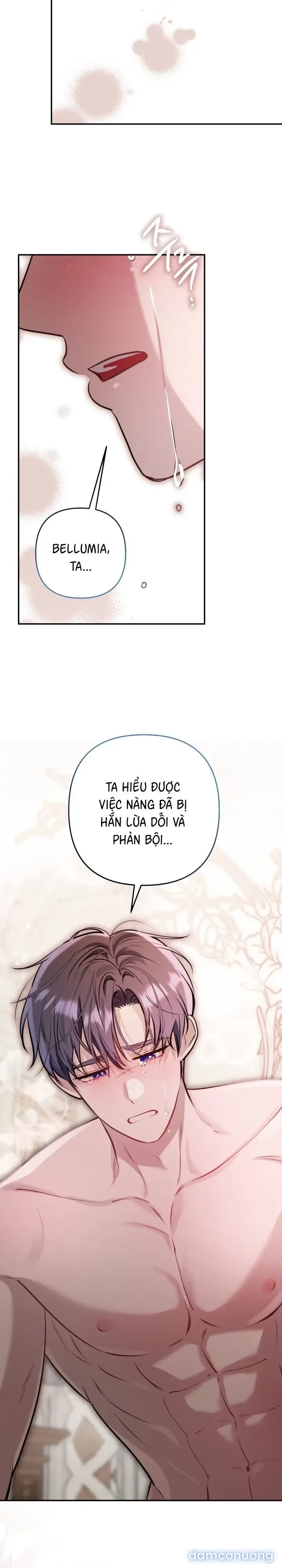 Vì Nàng Bellumia 