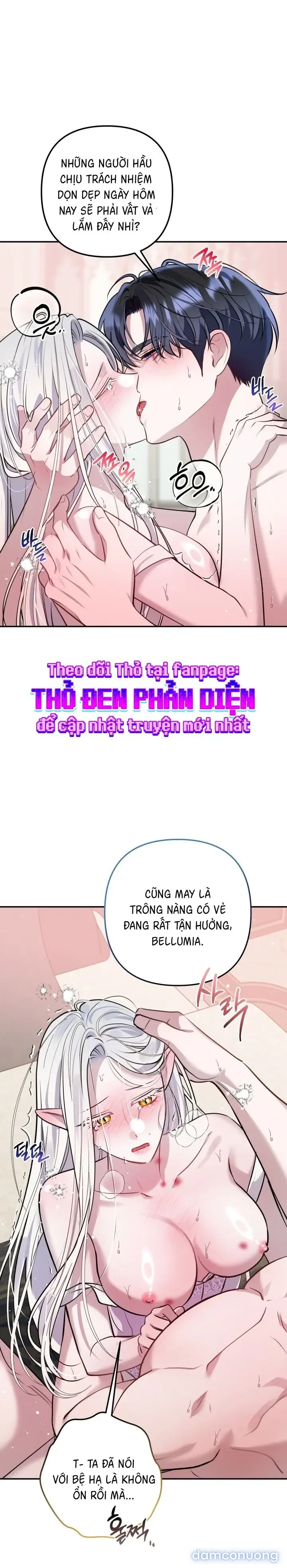 Vì Nàng Bellumia 