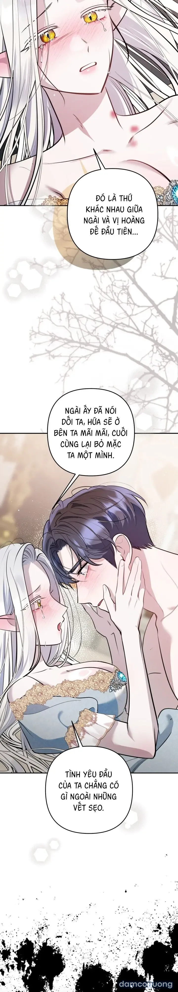 Vì Nàng Bellumia 