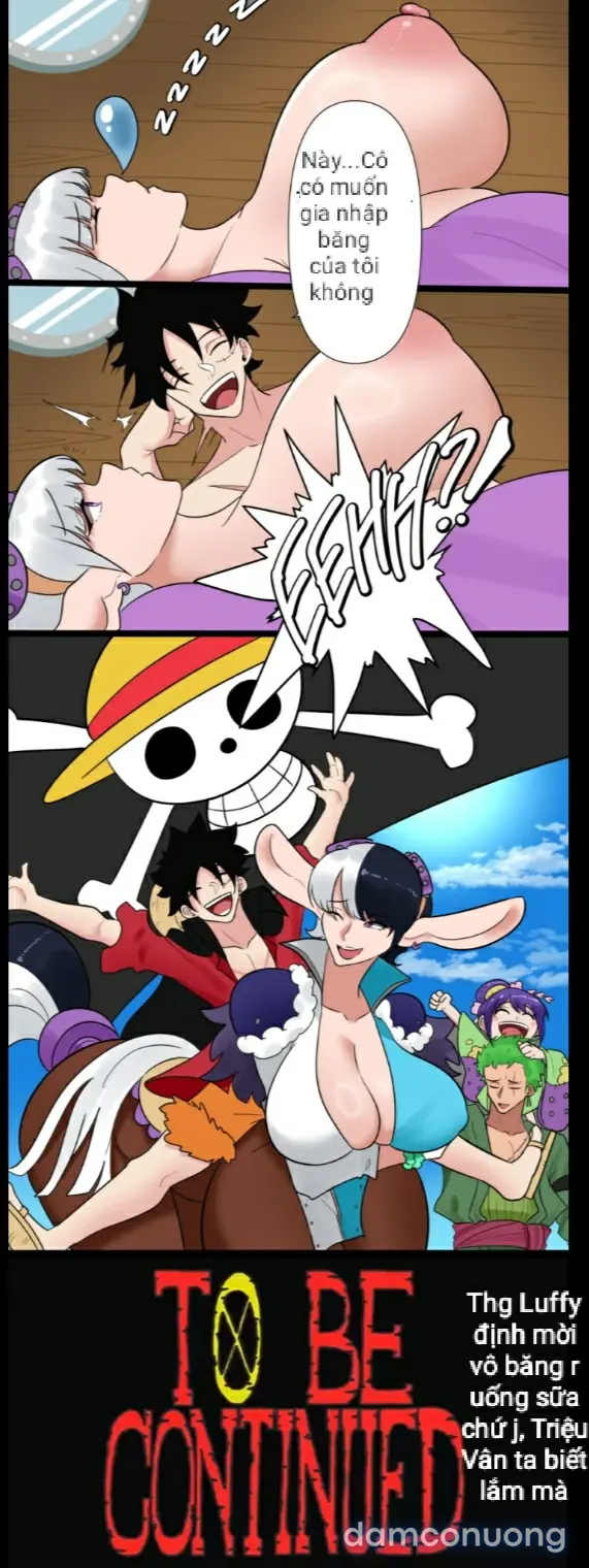 [ One Piece ] ngựa của Luffy 