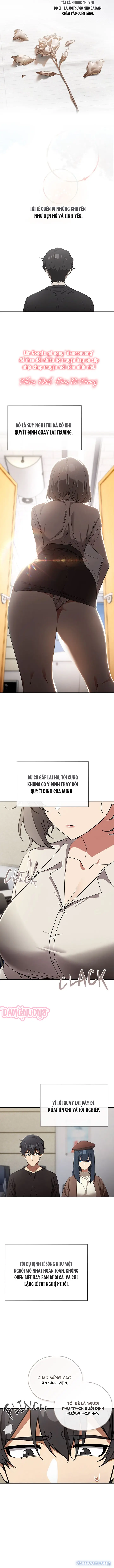 Bật nút lên 