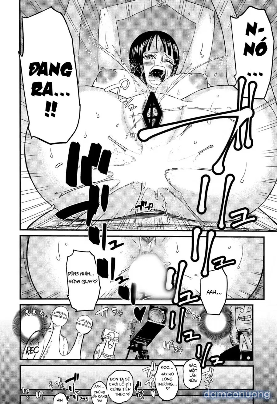 ROBIN'S HOLE 2 