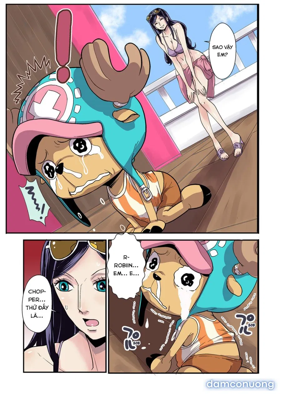 CHOP STICK 2 