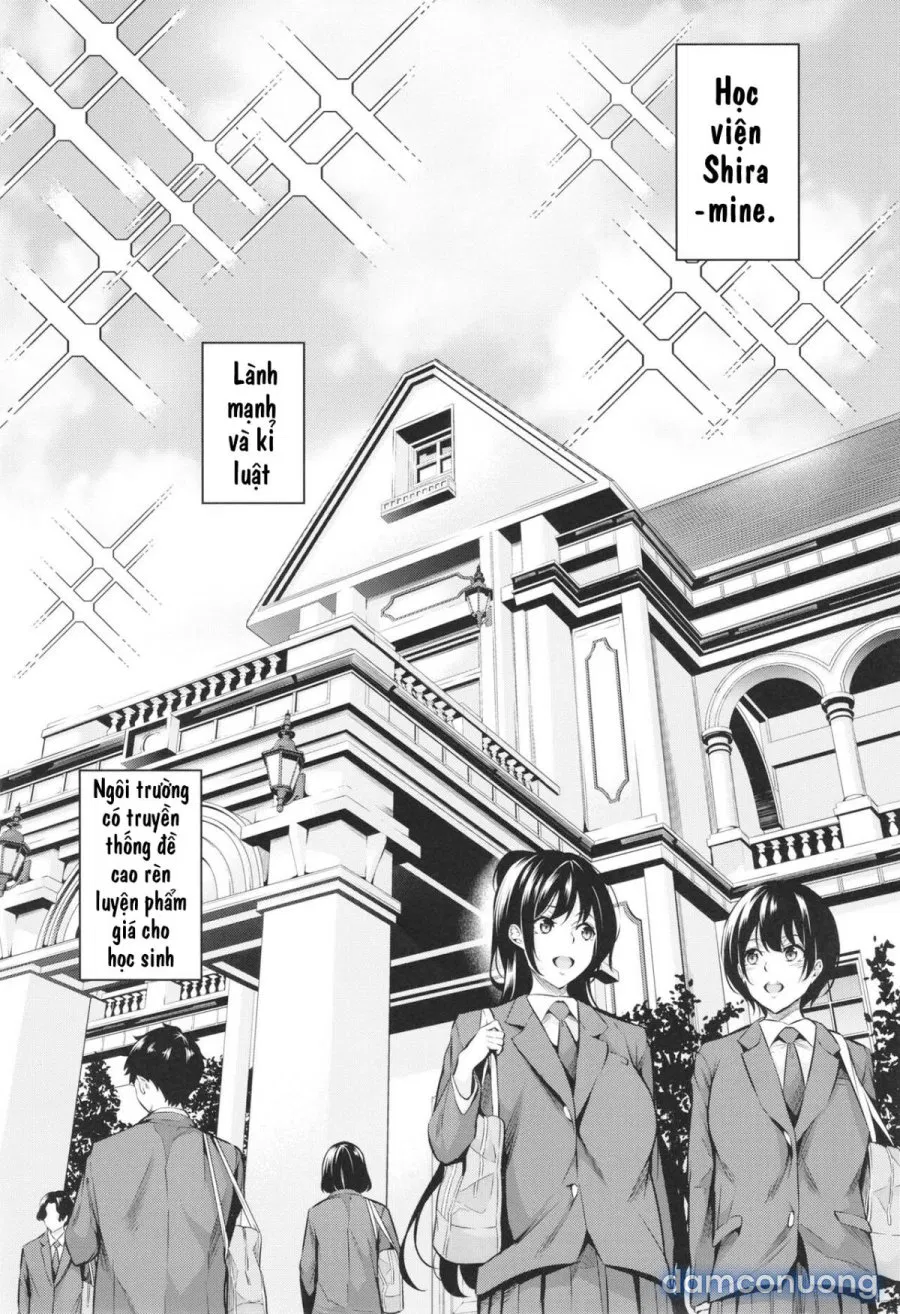 Shiramine Gakuen no Mesubuta Kaichou 