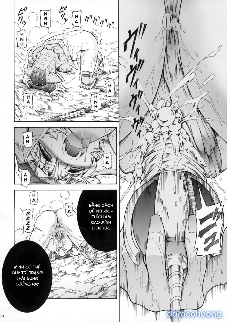 Solo Hunter no Seitai 3 