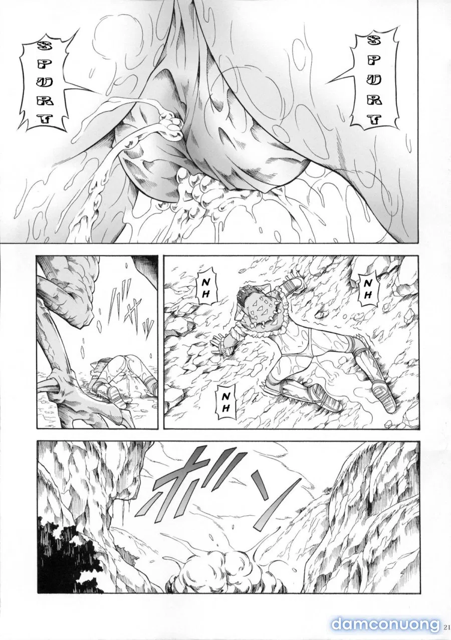 Solo Hunter no Seitai 3 