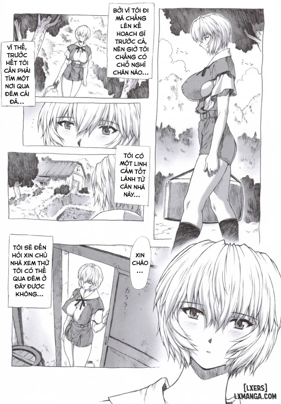 Ayanami Dai Kai (Tổng hợp) 