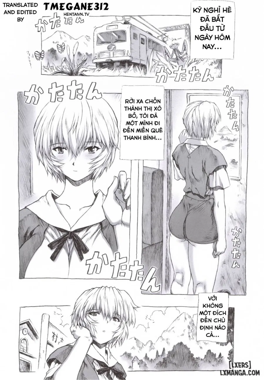 Ayanami Dai Kai (Tổng hợp) 