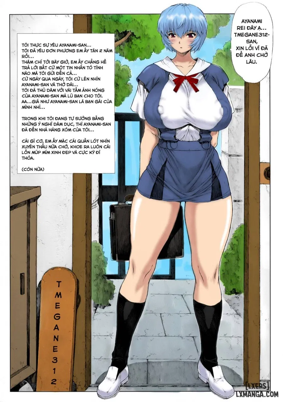 Ayanami Dai Kai (Tổng hợp) 