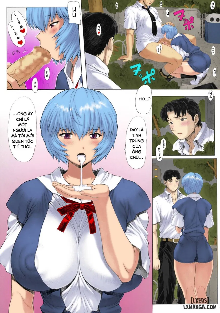Ayanami Dai Kai (Tổng hợp) 