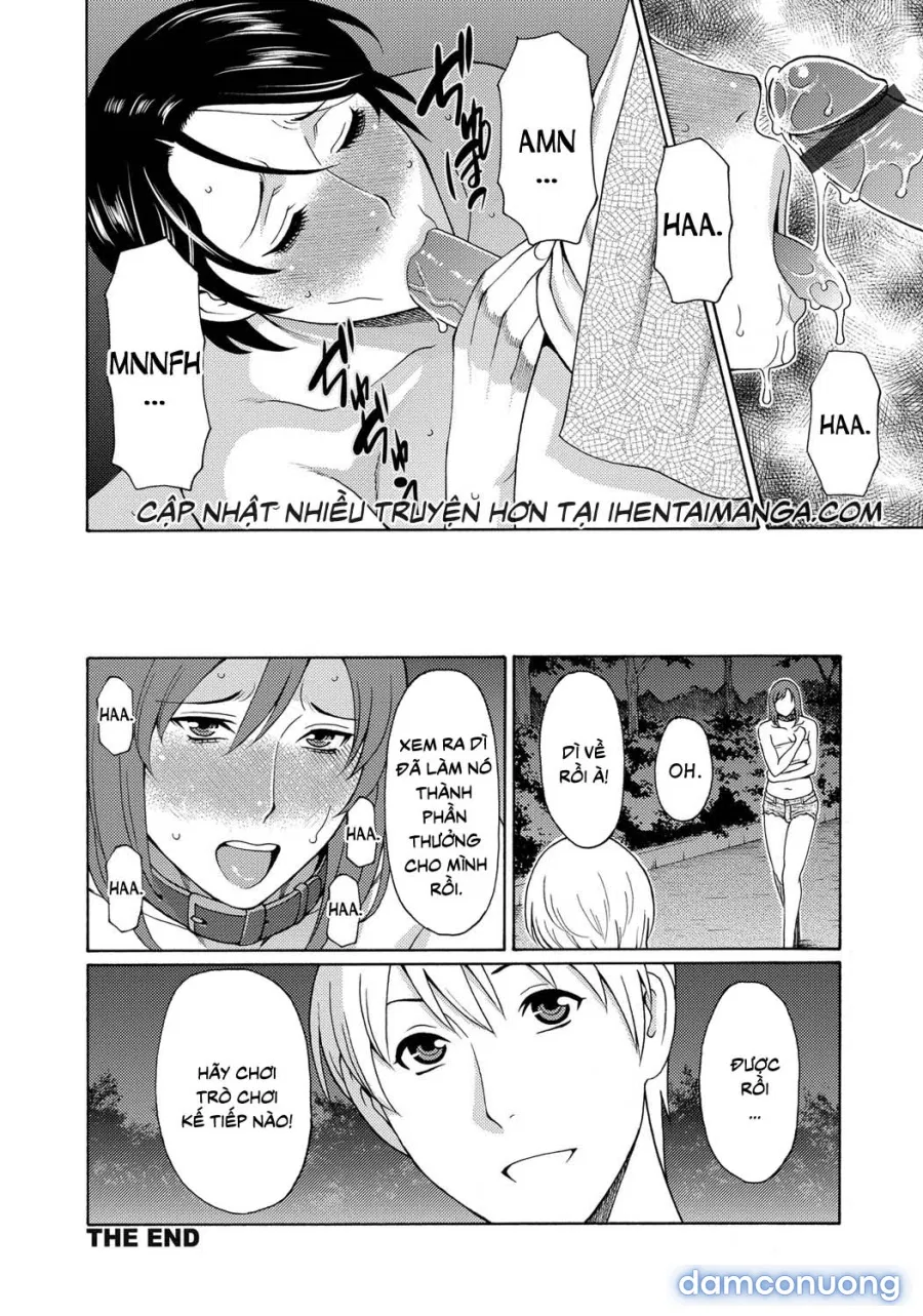 Insects That Gathered Around the Honey 