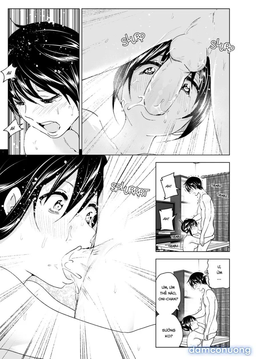 Onii-chan to Issho! 