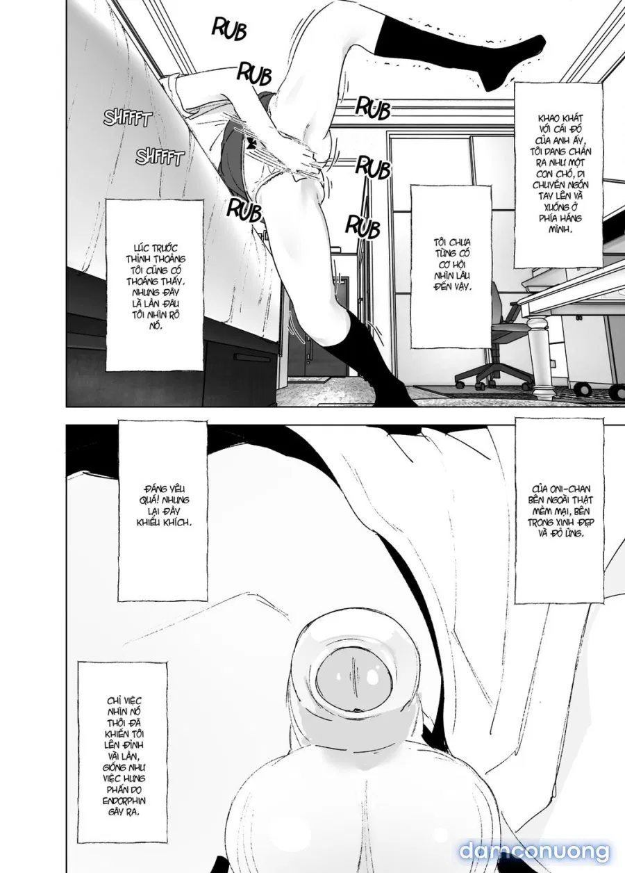 Onii-chan to Issho! 