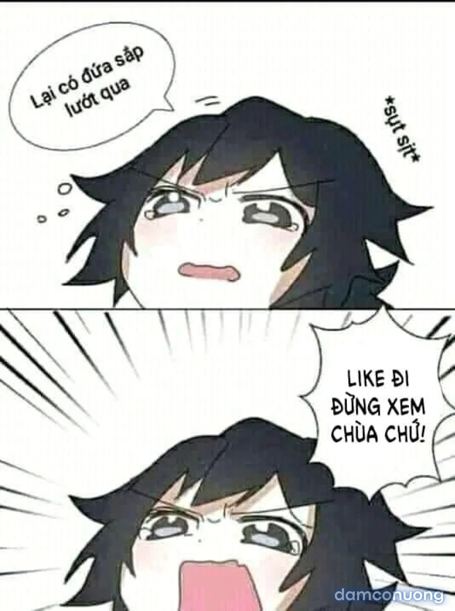 Mousou theater 61 