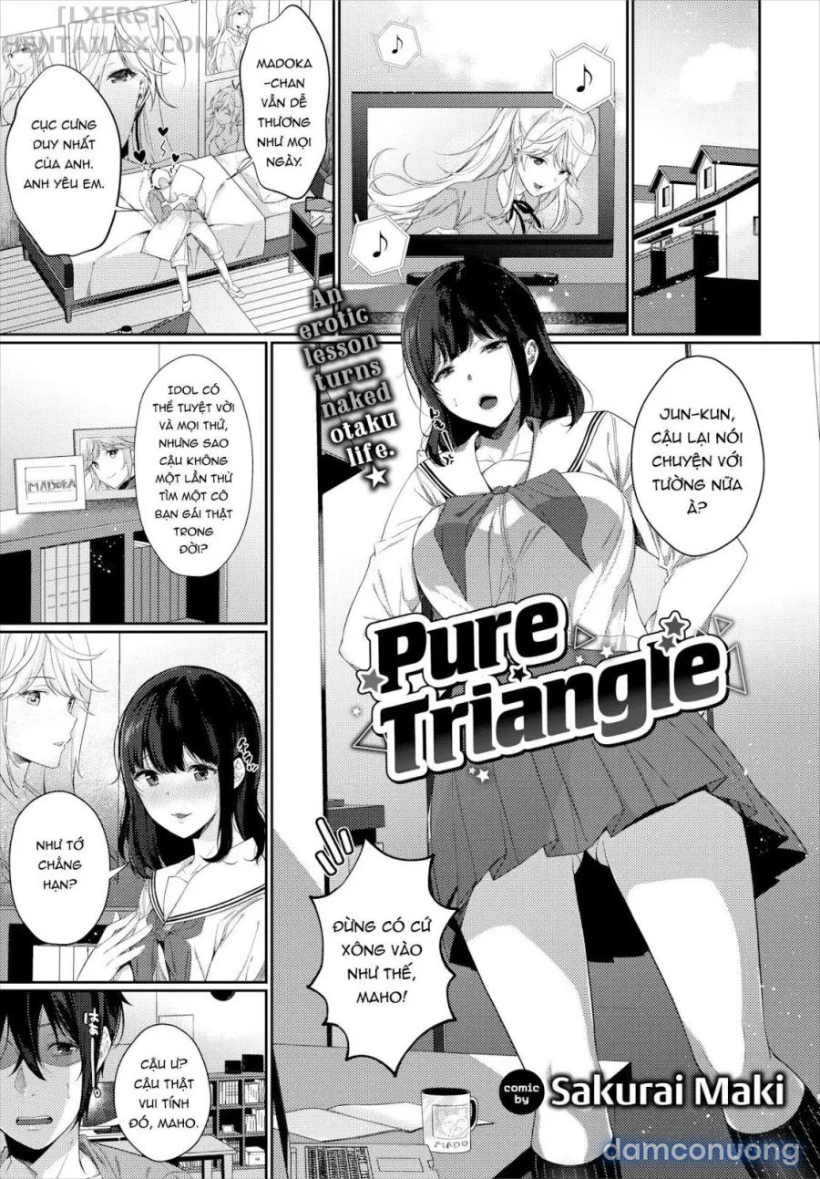 Pure Triangle 