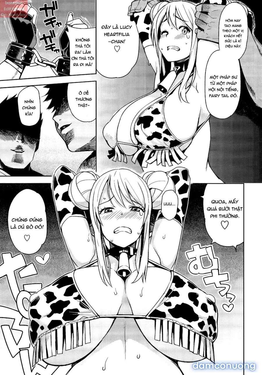 Witch Bitch Collection Vol. 1 