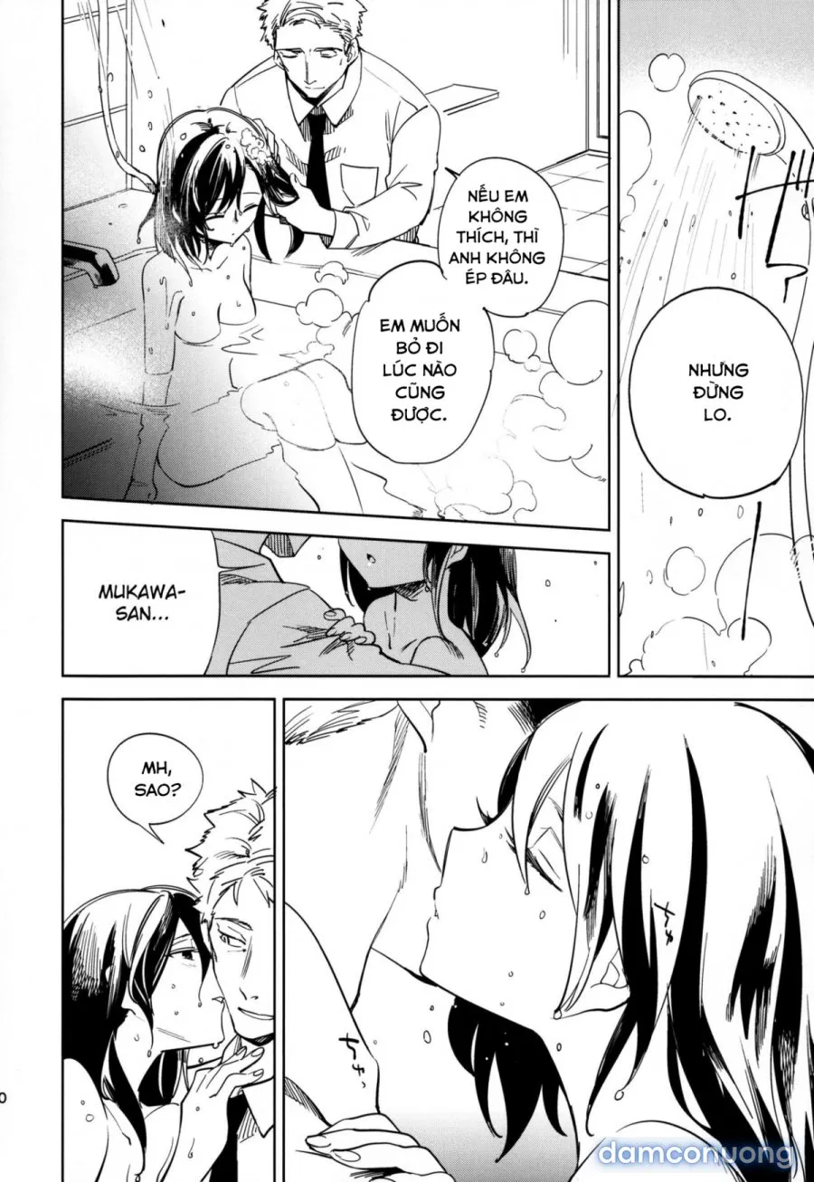 Yojo-han Bunny 4 