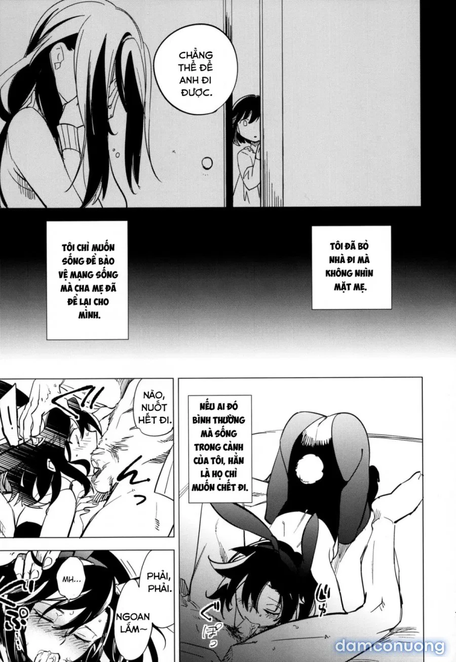 Yojo-han Bunny 4 