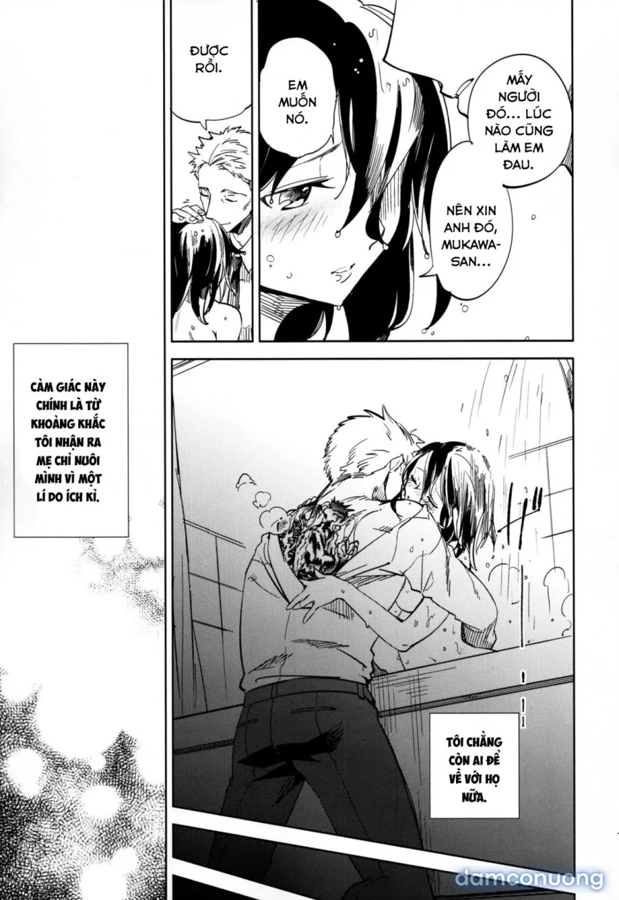 Yojo-han Bunny 4 
