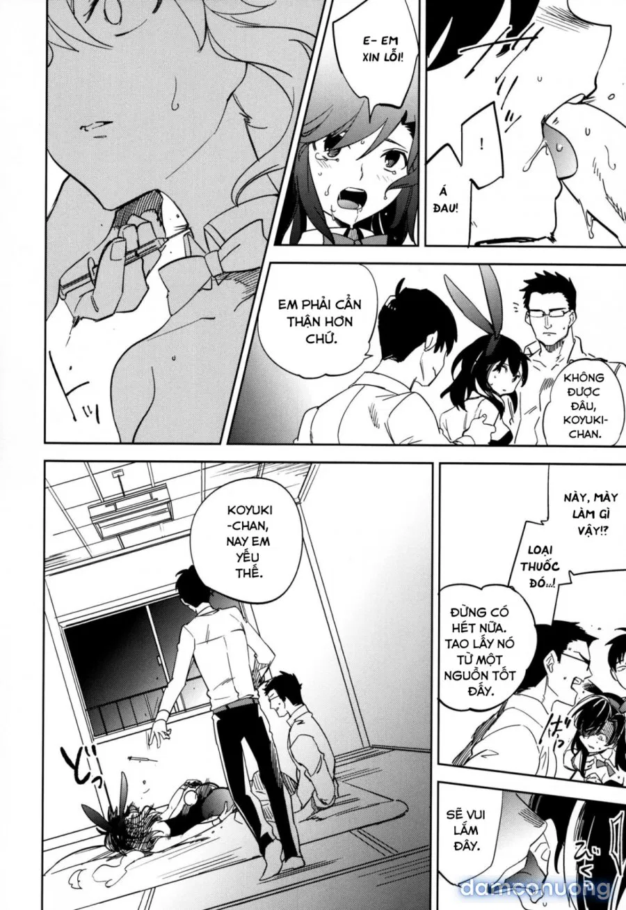 Yojo-han Bunny 4 